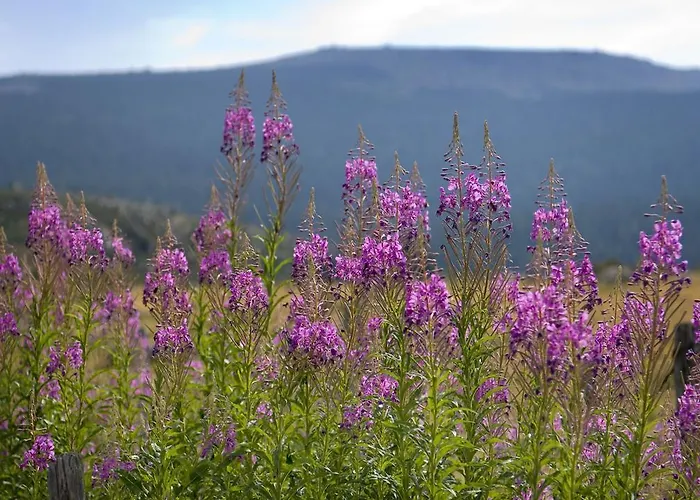Le Gevaudan * Fontans